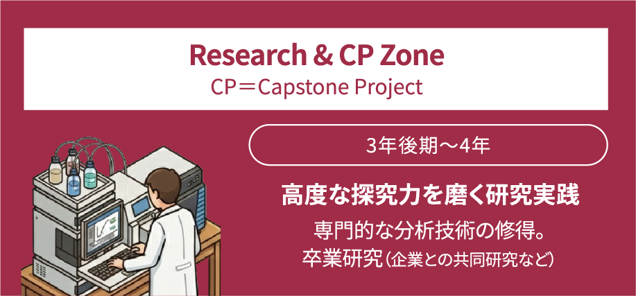 Research & CP Zone / CP＝Capstone Project / 3年後期〜4年 / 高度な探究力を磨く研究実践 / 専門的な分析技術の修得。卒業研究（企業との共同研究など）